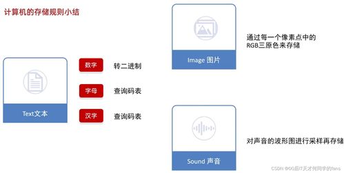 计算机中的数据存储 数据处理与存储支持服务的全面解析
